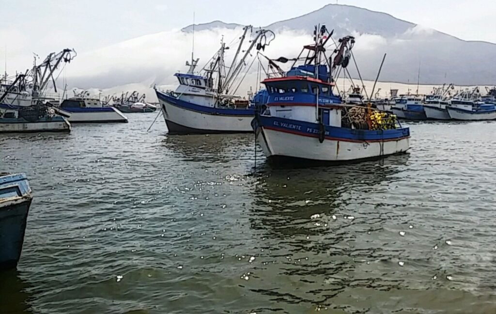 Inicia búsqueda de embarcación pesquera desaparecida en La Guaira