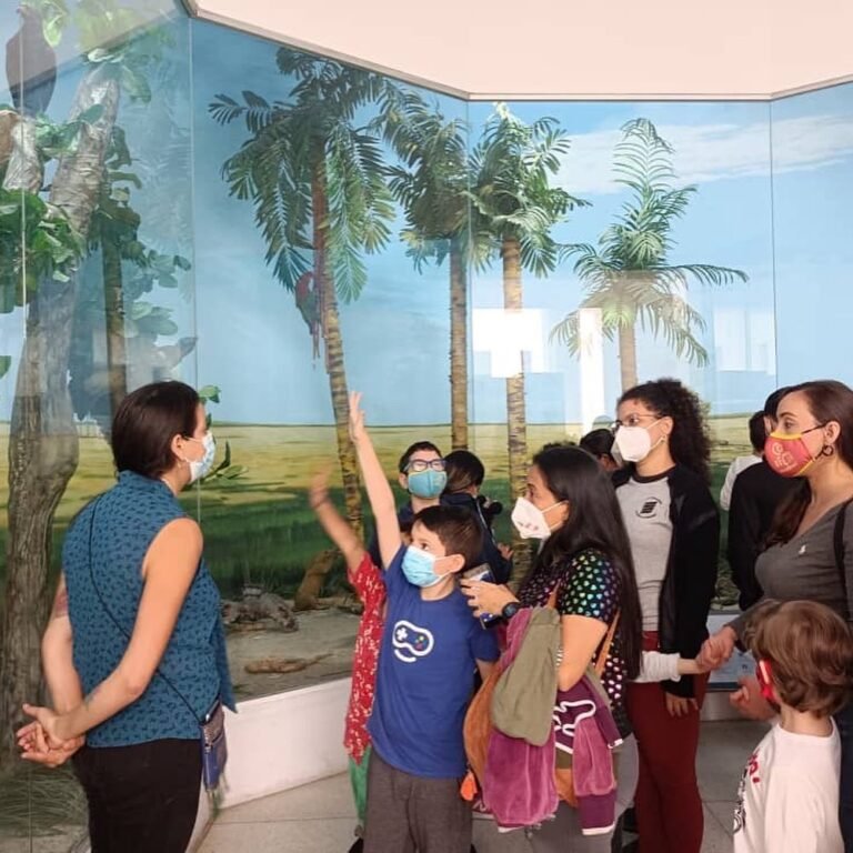 Caracas | Museo de Ciencias anuncia que reabrirá sus puertas
