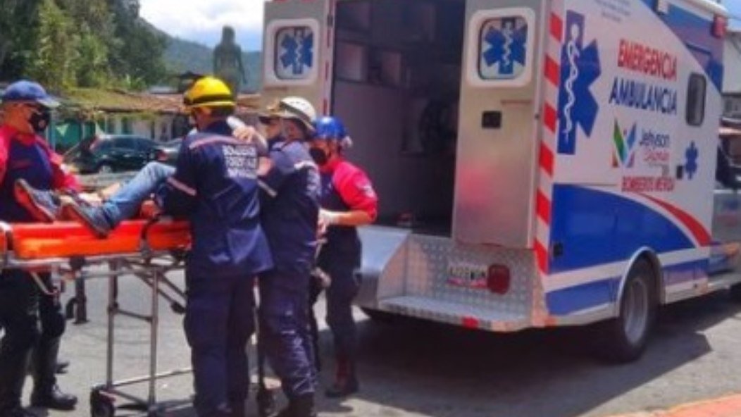 Mérida | Oso frontino del Zoológico Chorros de Milla atacó a un cuidador (+Fotos)