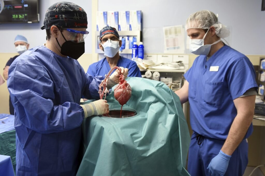 Falleció el primer hombre en recibir trasplante de corazón de un cerdo