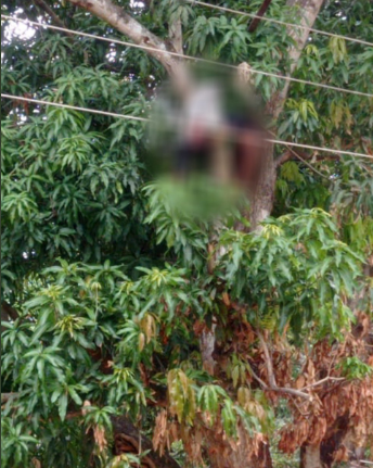 Carabobo| Adolescente murió electrocutado tratando de tumbar mangos