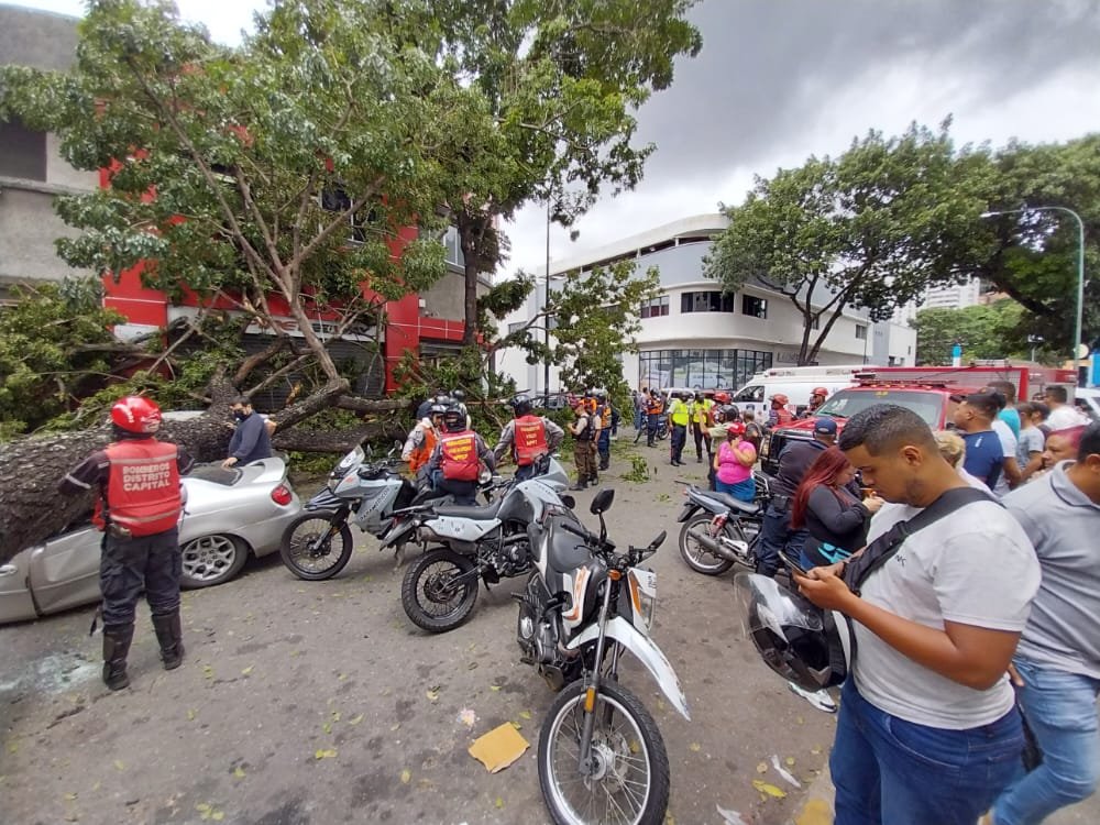 Caracas| Un lesionado y daños a varios vehículos dejó la caída de un árbol (+Fotos)