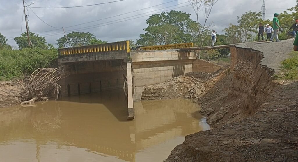 "Aquí no hay nada": Productores de Catatumbo claman por ayuda tras inundaciones por el río Zulia
