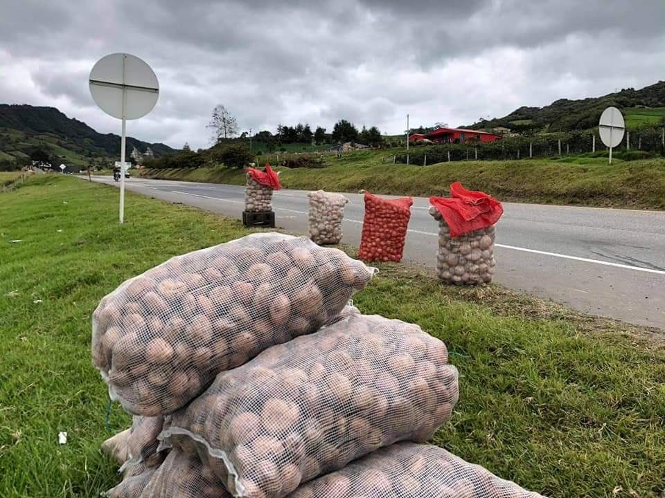 ¡Por trochas! Agricultores andinos denuncian la venta ilegal de papa colombiana en mercados mayoristas +Video