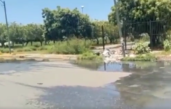 La Guaira | Avenida La Playa en Macuto está intransitable a causa de las aguas residuales + Video