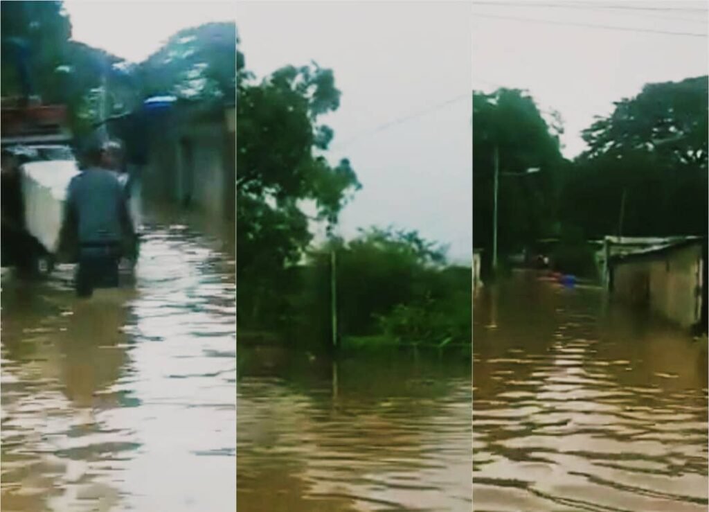 Guárico | Habitantes de Las Colonias a la espera de un helicóptero para ser rescatados de las inundaciones