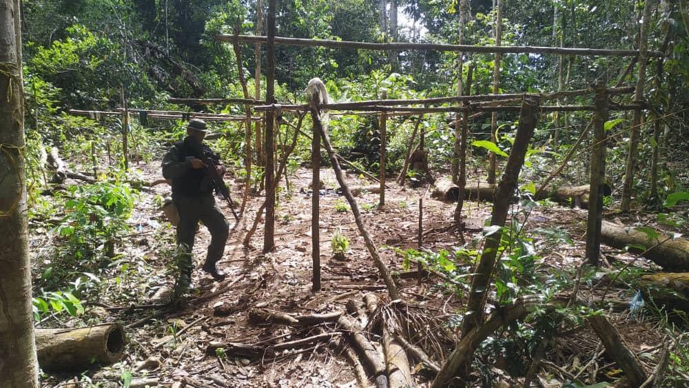Destruyen campamentos se supuestos terroristas en Amazonas
