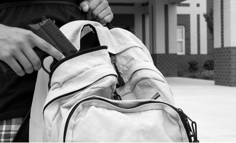 Autoridades de Zulia decomisaron un revolver dentro de un colegio