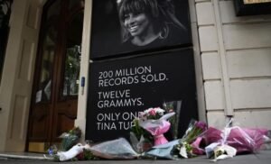 Fanáticos de Tina Turner