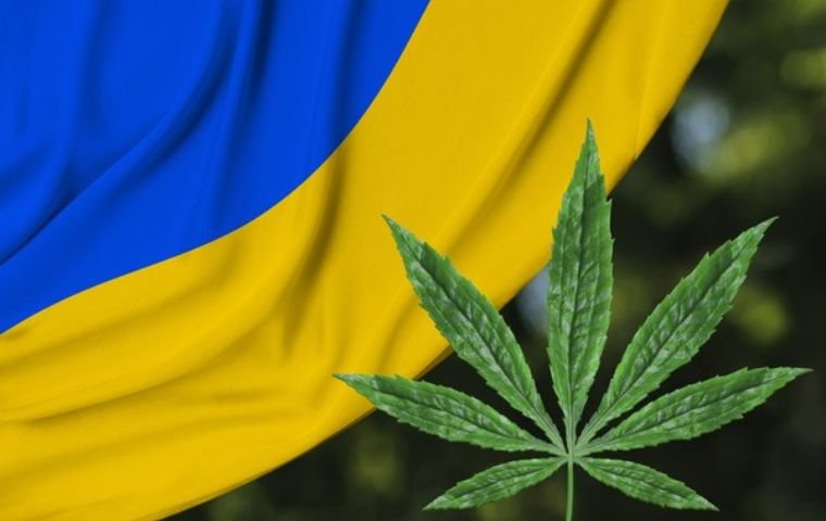 Ucrania legaliza el uso del cannabis