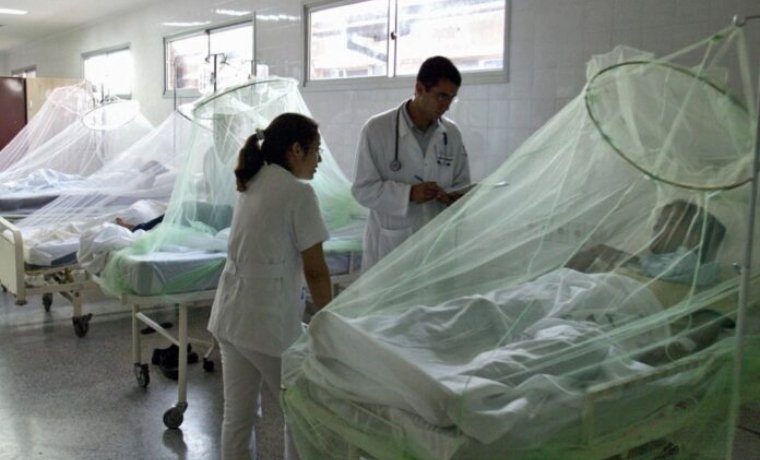 OMS declara el Dengue como un virus endémico debido al cambio climático