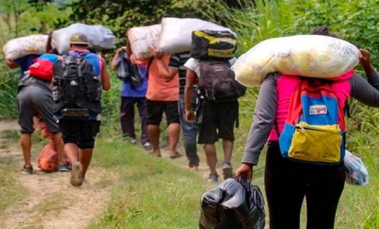 Cifra récord | Más del 65% de la migración que cruzo la Selva del Darién son venezolanos