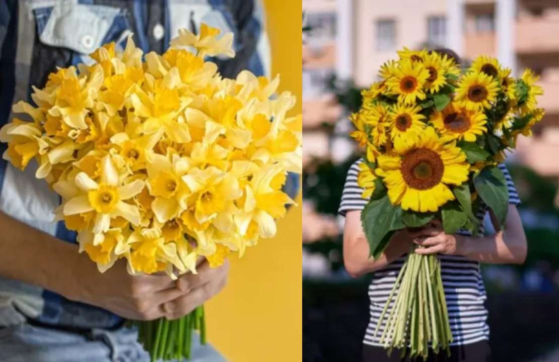 Flores amarillas más que un símbolo de primavera