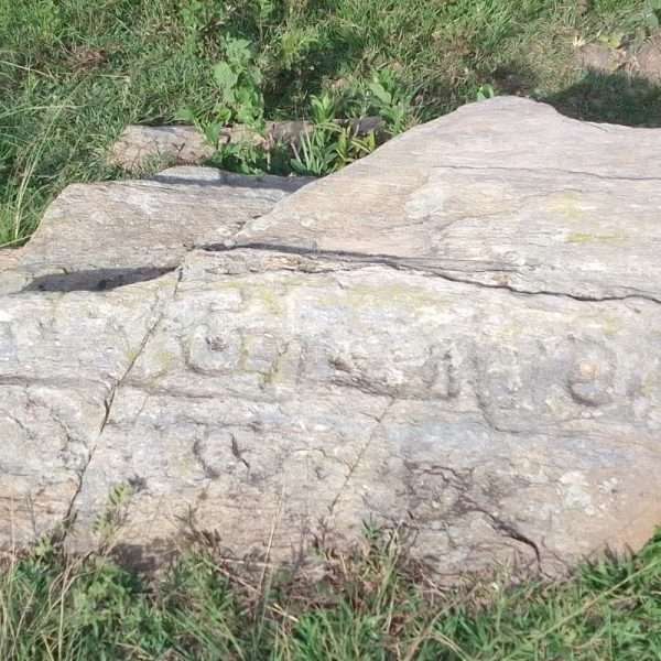 Lara | Localizan petroglifo en las serranías de Terepaima