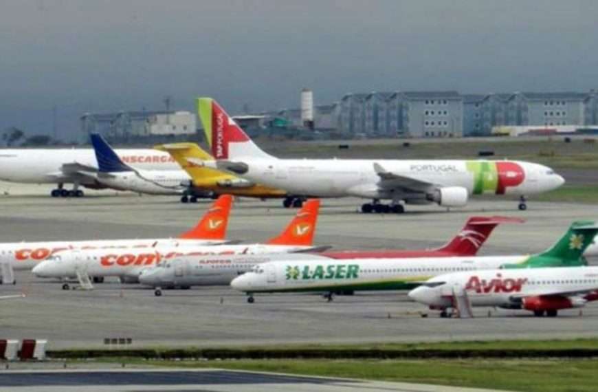 Presidenta de Avavit urge separar la política de las conectividades aéreas para facilitar viajes desde y hacia Venezuela