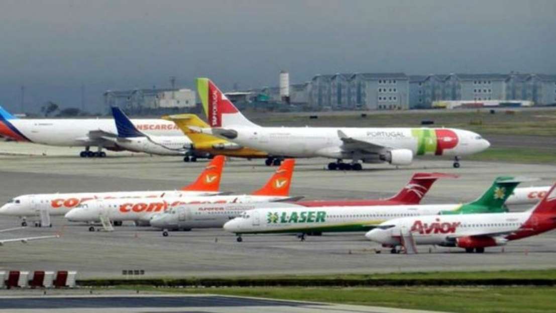 Presidenta de Avavit urge separar la política de las conectividades aéreas para facilitar viajes desde y hacia Venezuela