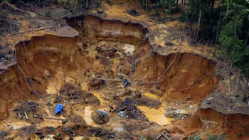 Destrucción de áreas verdes, flora, fauna, suelos y agua, es lo que deja la minería en el Yapacana