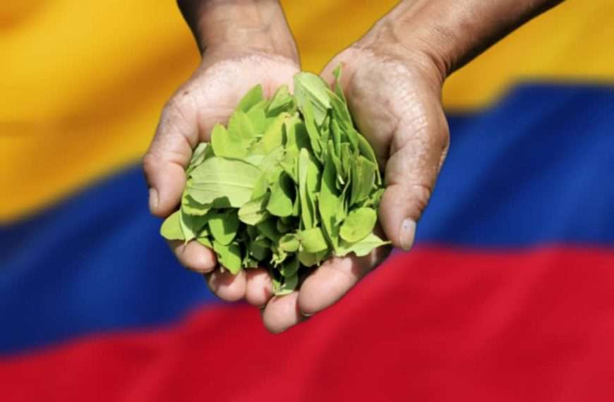 Producción de coca y cocaina en Colombia