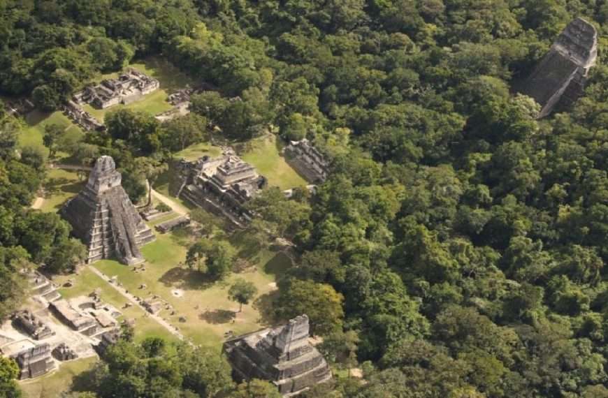 Un estudiante de doctorado, Luke Auld-Thomas, descubrió accidentalmente una enorme ciudad maya llamada Valeriana en la selva de Campeche, México, utilizando tecnología Lidar