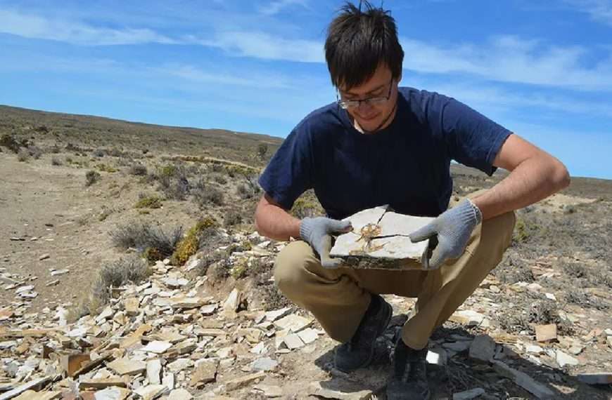 Científicos en Argentina han descubierto el renacuajo más antiguo conocido, que vivió hace unos 161 millones de años durante el Período Jurásico. Este fósil, de 16 centímetros de largo, pertenece a la especie Notobatrachus degiustoi y está excepcionalmente bien conservado, incluyendo restos de tejidos blandos como ojos y nervios.