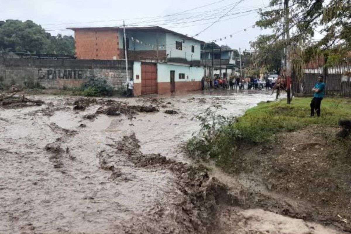 Lluvias devastadoras en Lara | Cinco municipios en emergencia por desborde de quebradas