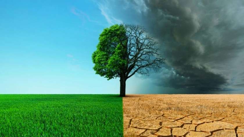 Sin embargo, a medida que nos acercamos a este año, la realidad del mundo nos obliga a imponer una educación climática integral.