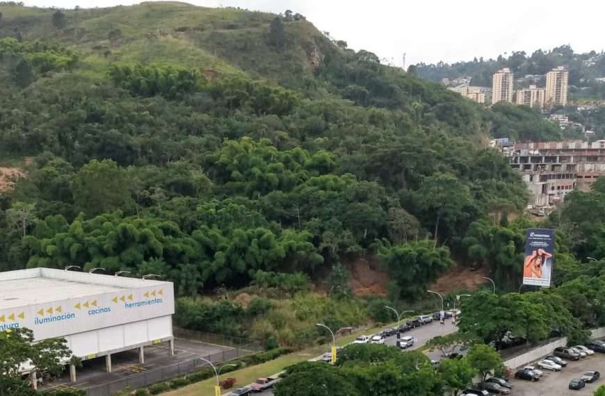 Vecinos Baruteños se movilizan en defensa del bosque de Los Guayabitos, denuncian deforestación y exigen respuestas a las autoridades