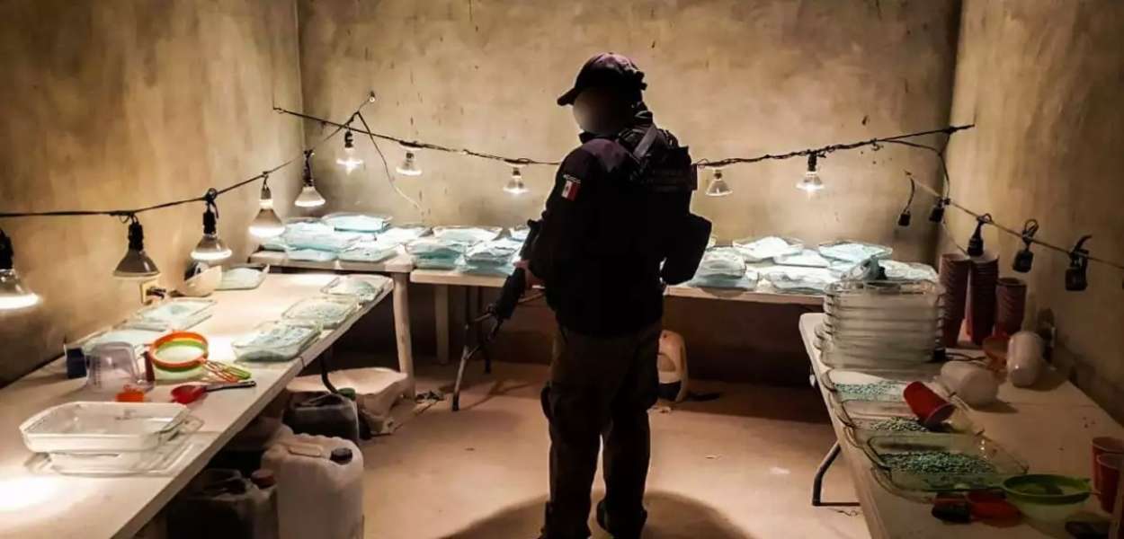 En un giro alarmante en la crisis del fentanilo, los cárteles mexicanos están buscando a estudiantes de química en universidades para fortalecer sus operaciones.