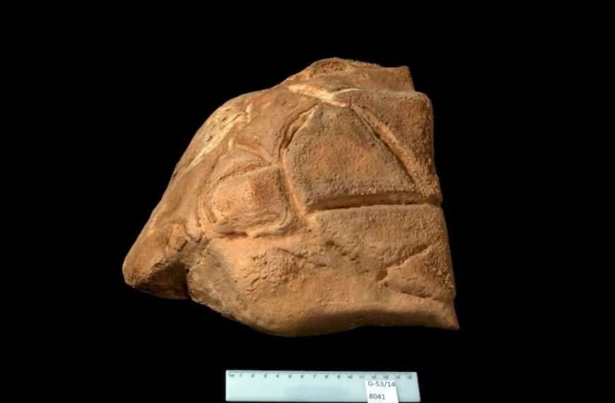 En lo profundo de una cueva en la región de Galilea, un equipo de científicos descubrió una figura tallada que arroja nueva luz sobre las prácticas espirituales de los Paleolíticos