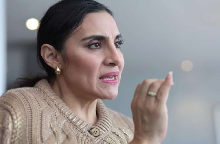 Una sentencia del Tribunal Contencioso Electoral (TCE) de Ecuador negó una denuncia de la vicepresidenta ecuatoriana, Verónica Abad, contra el jefe de Estado, Daniel Noboa, y otros miembros de su Administración.