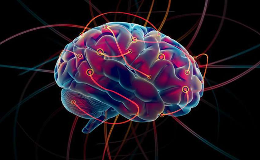 Cerebro, percepciones y cambio político