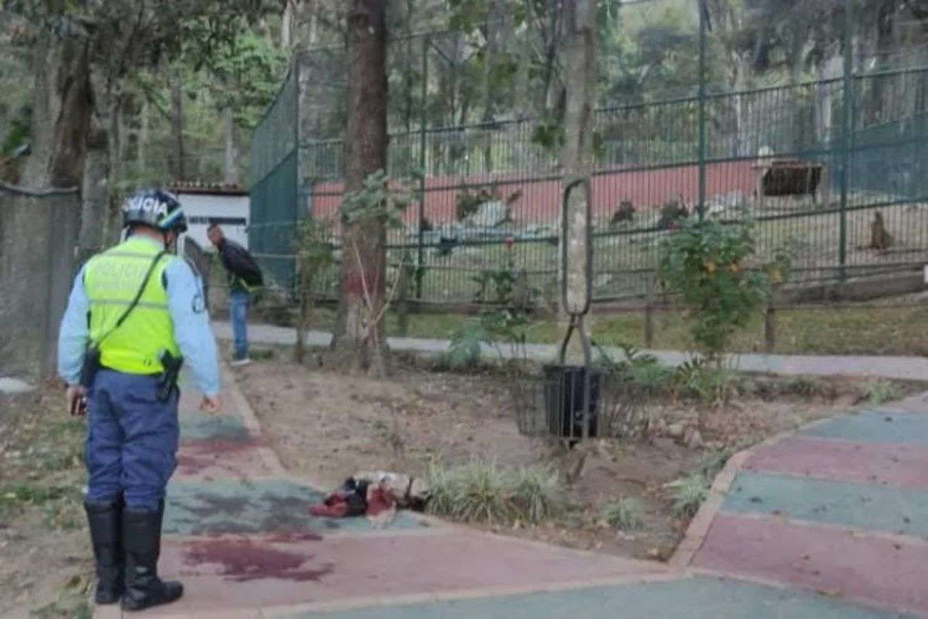 Vigilante atacado por león mueren luego 65 días de agonía