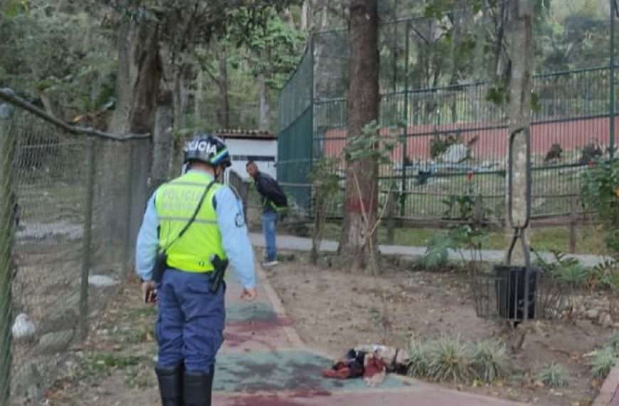 Vigilante atacado por león mueren luego 65 días de agonía