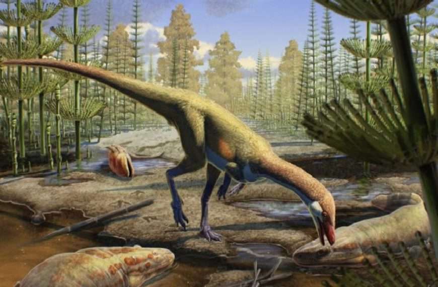 De acuerdo con un grupo de paleontólogos, áreas inexploradas como el Amazonas y el Sahara podrían haber sido el origen de estas criaturas prehistóricas