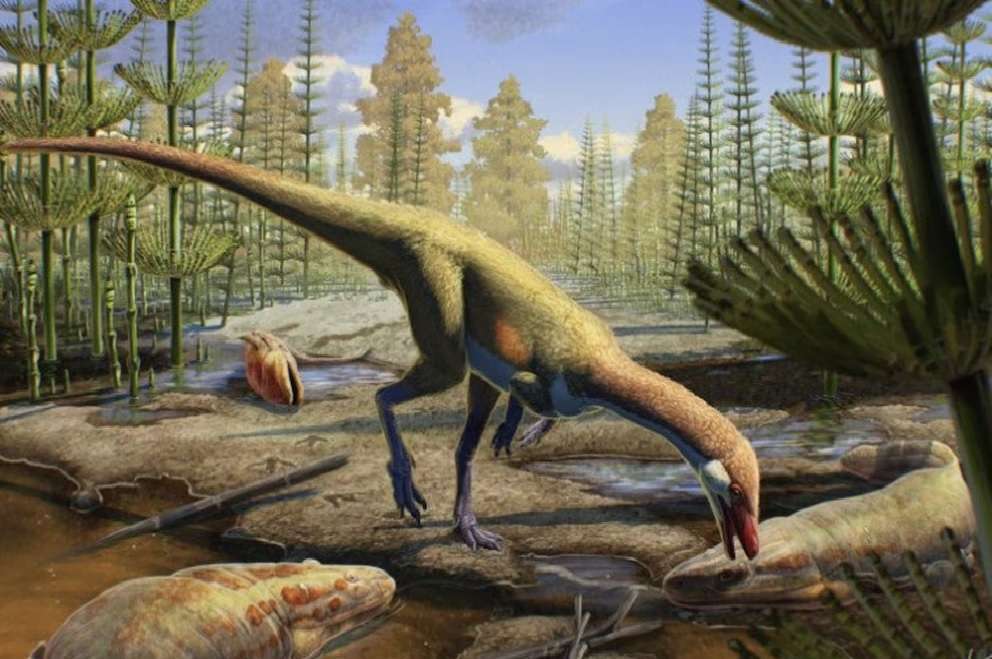 De acuerdo con un grupo de paleontólogos, áreas inexploradas como el Amazonas y el Sahara podrían haber sido el origen de estas criaturas prehistóricas
