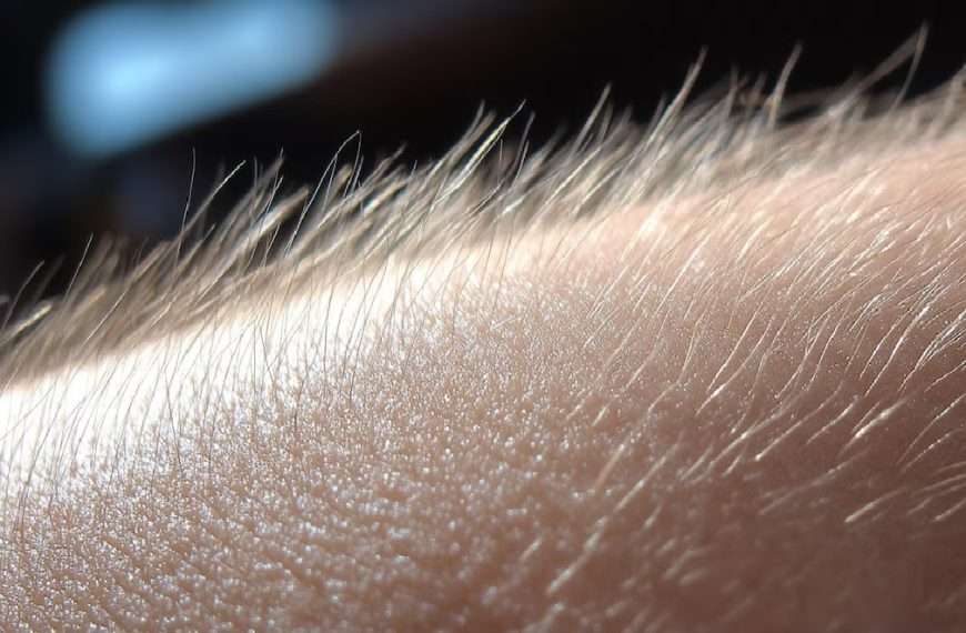Los investigadores detrás de este proyecto consideran que tendrán un alto impacto en la medicina, pues se podrá usar en marcapasos