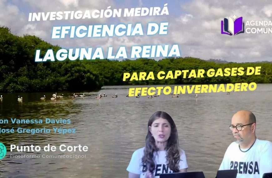Agenda Común eficiencia de Laguna La Reina para captar gases de efecto invernadero