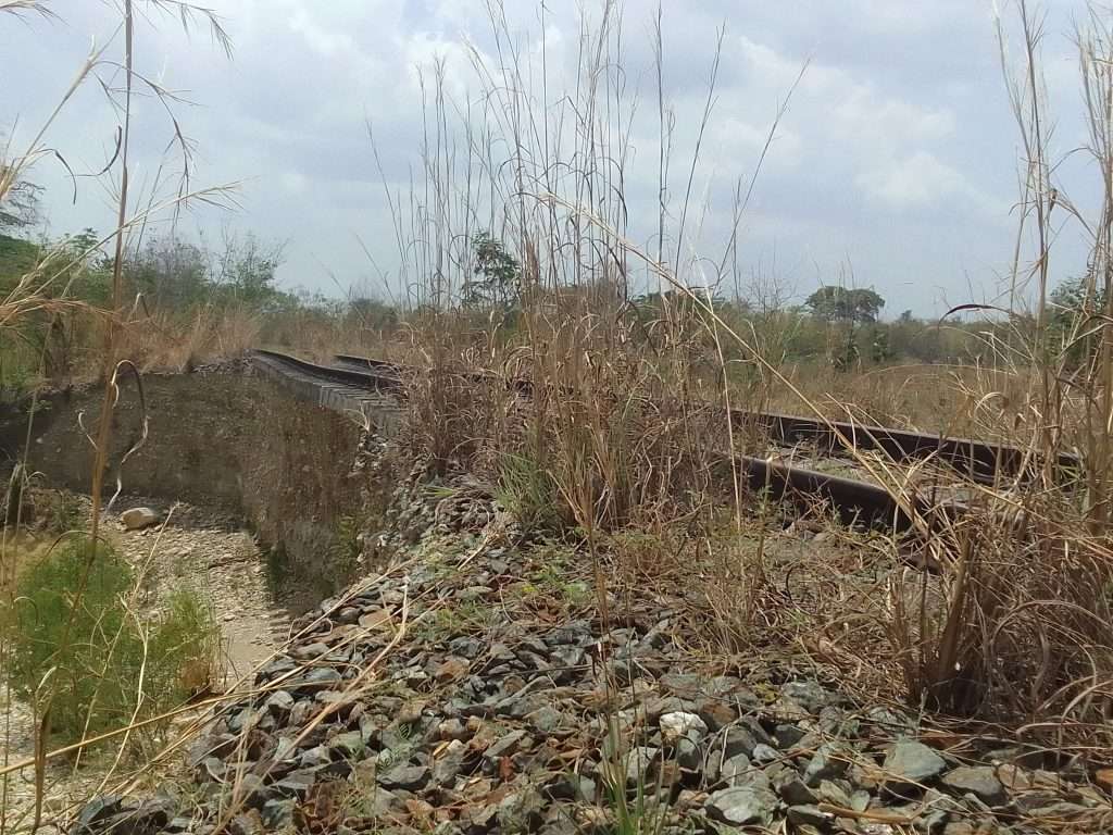 La falta de mantenimiento agrava el deterioro día tras día