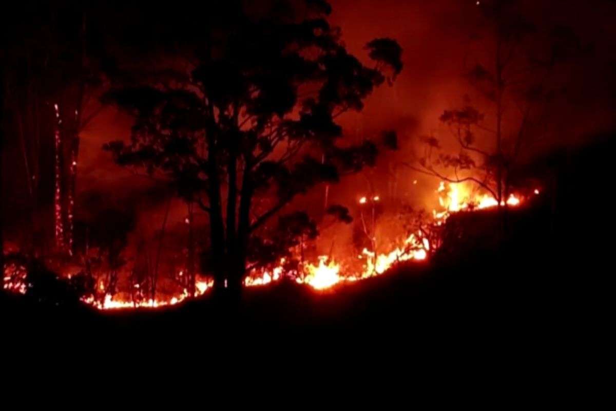¡Alerta Verde! Venezuela arde con más de 20 incendios en menos de una semana