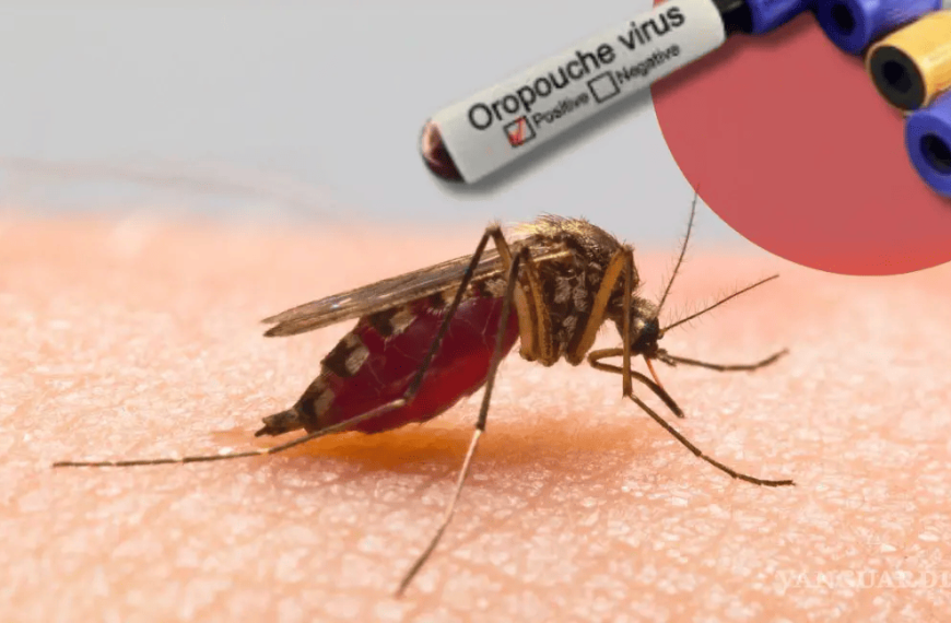 Confirman casos positivos del virus Oropouche