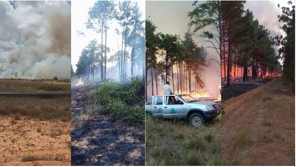 El fuego ha consumido miles de hectáreas