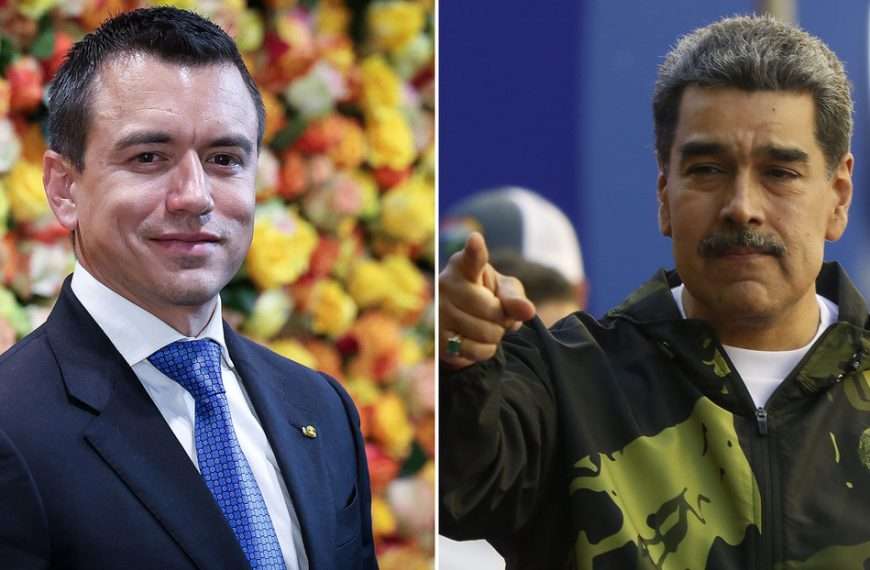 noboa-maduro