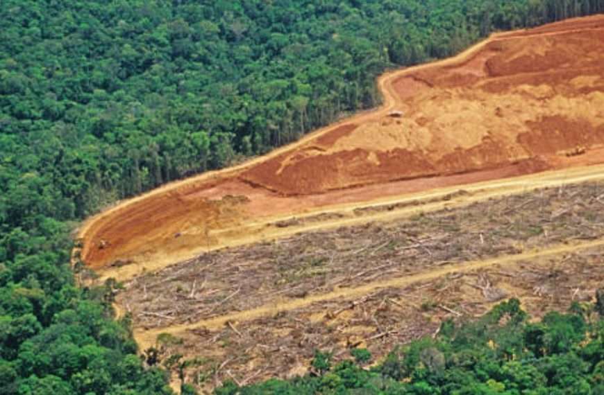 Aumento alarmante 91% de deforestación en la Amazonía brasileña en abril