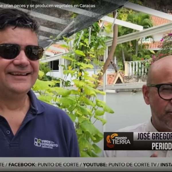 Pisando Tierra Casa Autosustentable en Caracas: Verde en Concreto Revoluciona la Ciudad