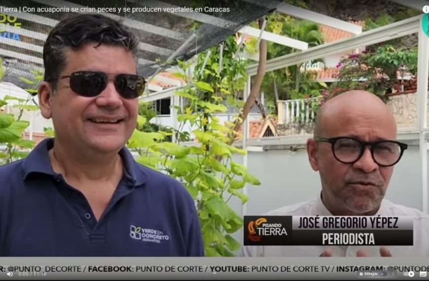 Pisando Tierra Casa Autosustentable en Caracas: Verde en Concreto Revoluciona la Ciudad