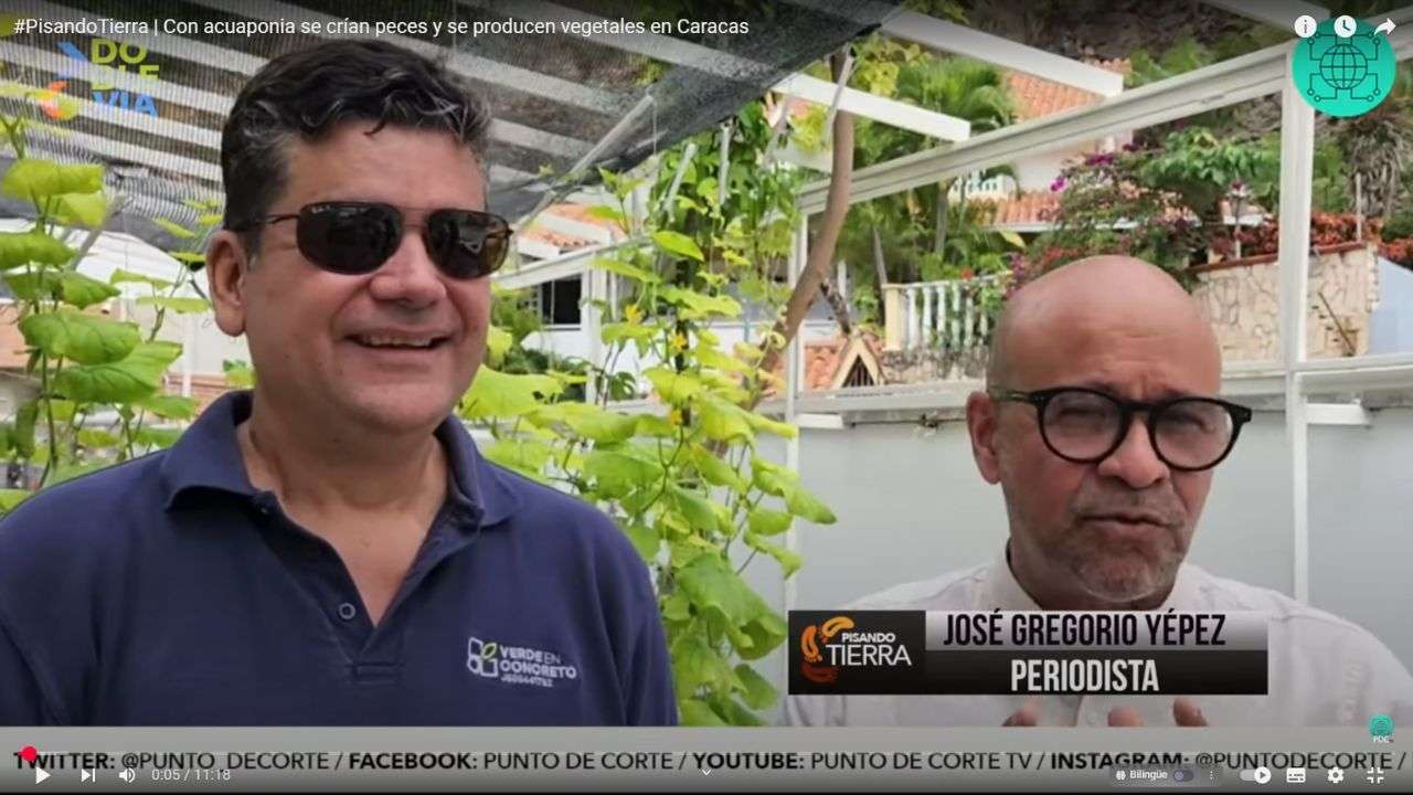 Pisando Tierra Casa Autosustentable en Caracas: Verde en Concreto Revoluciona la Ciudad