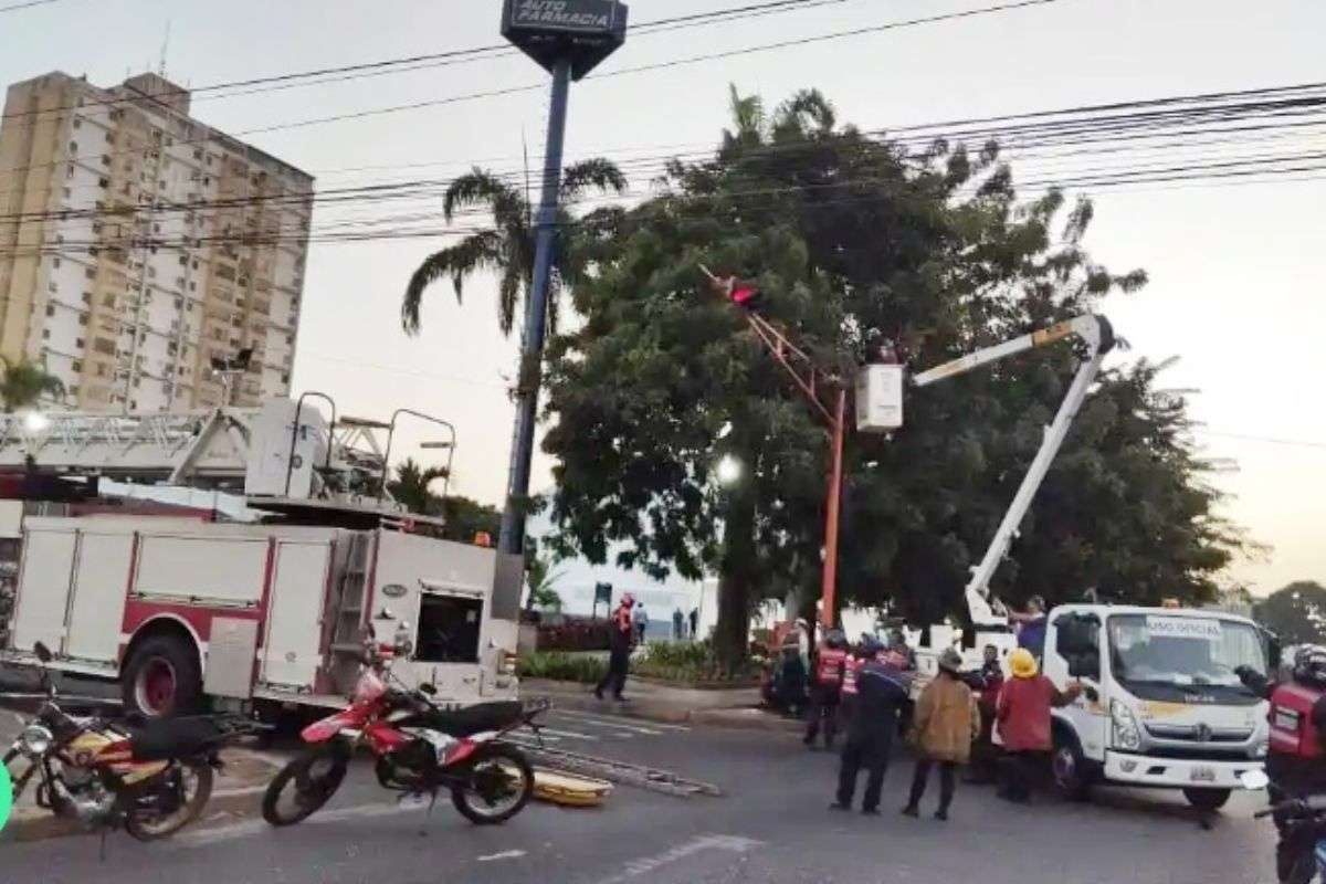Ataques de abejas alarma a residentes barquisimetanos