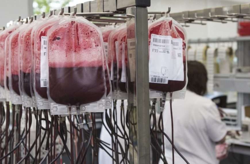 Investigadores japoneses desarrollan una sangre artificial compatible con cualquier otro tipo