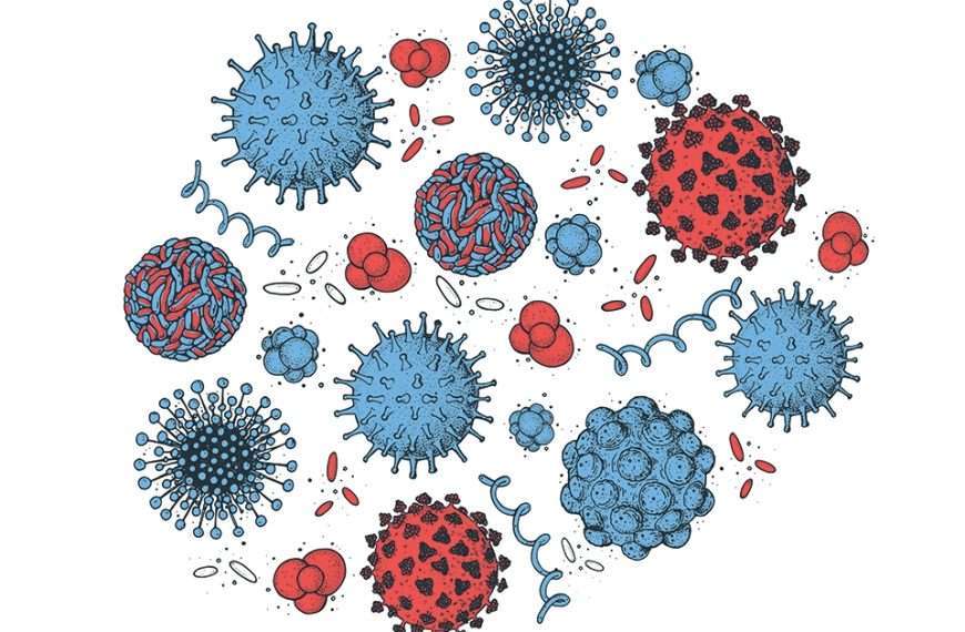Virus