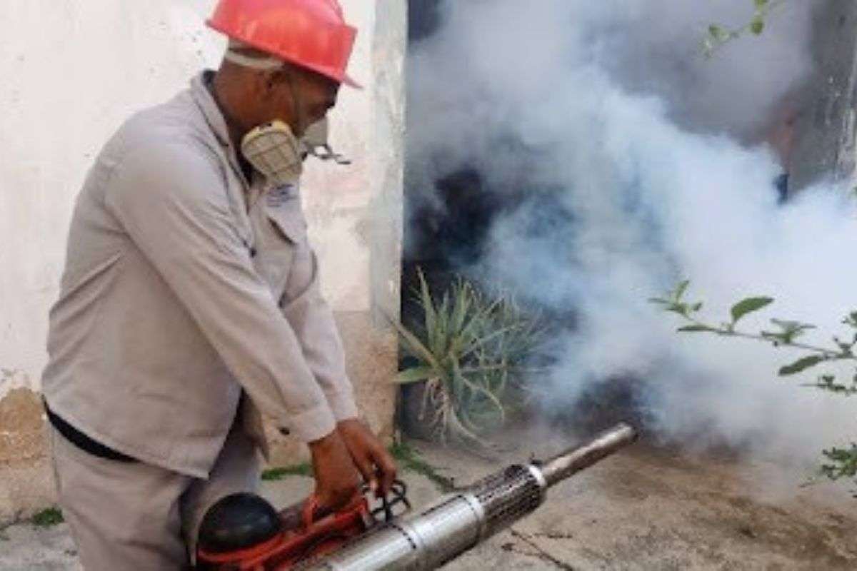 Lara | Alerta en El Ujano por brote de Dengue y Chikungunya
